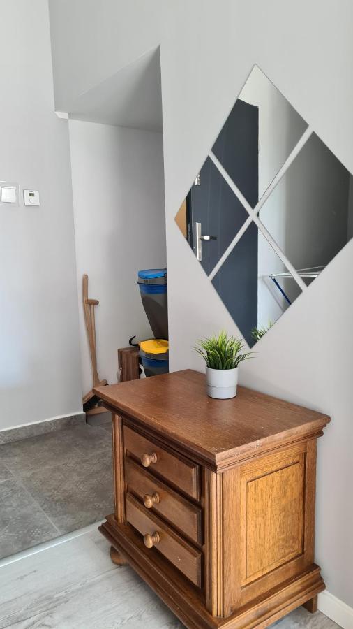 Urocze Apartamenty Na Wsi Goledzinow 外观 照片