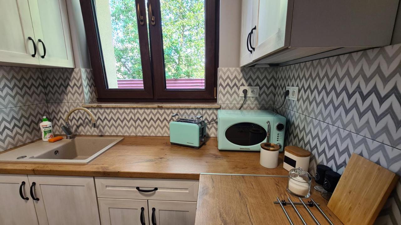 Urocze Apartamenty Na Wsi Goledzinow 外观 照片